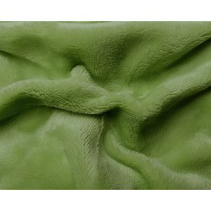 Prostěradlo MIKROFLANEL SLEEP WELL 90x200cm, kiwi zelené