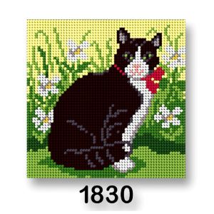 Vyšívací předloha, obrázek na vyšívání 70244/1830, kočka 3, zelená, 15x15cm